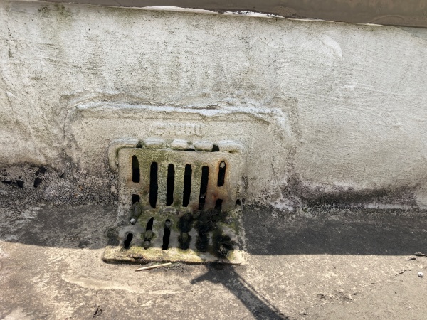 ドレン周辺も確認していきます